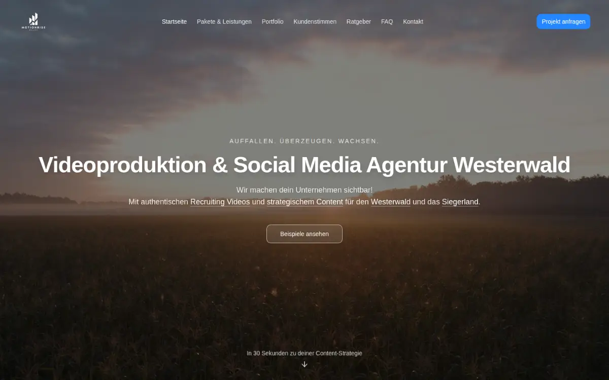 Vorschau der Website von Motionrise Media
